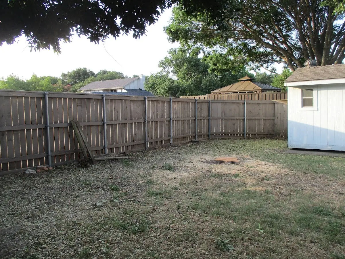Cleared yard after professional tree removal in Falls City