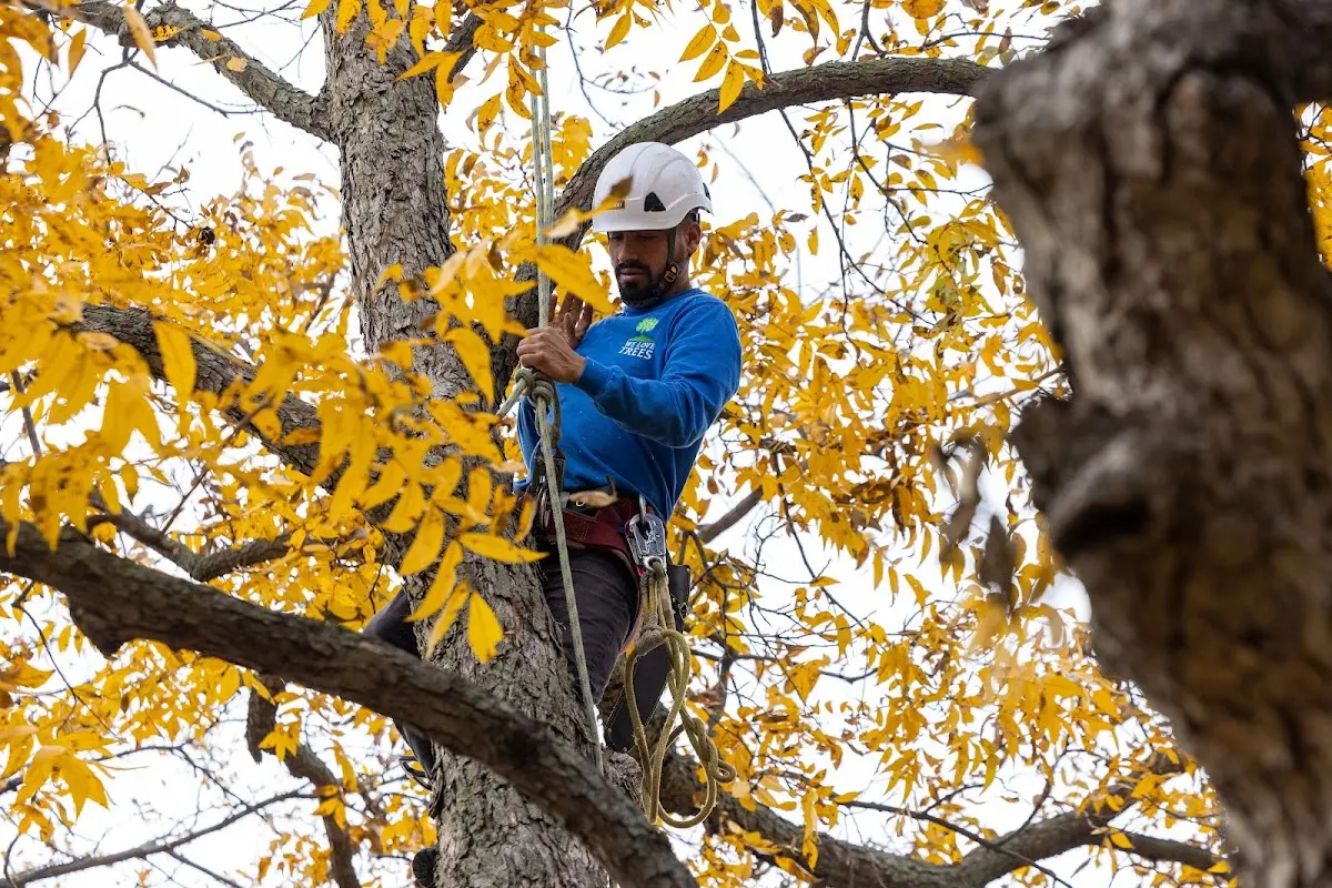 Skilled Storm Damage Cleanup crew working in Falls City