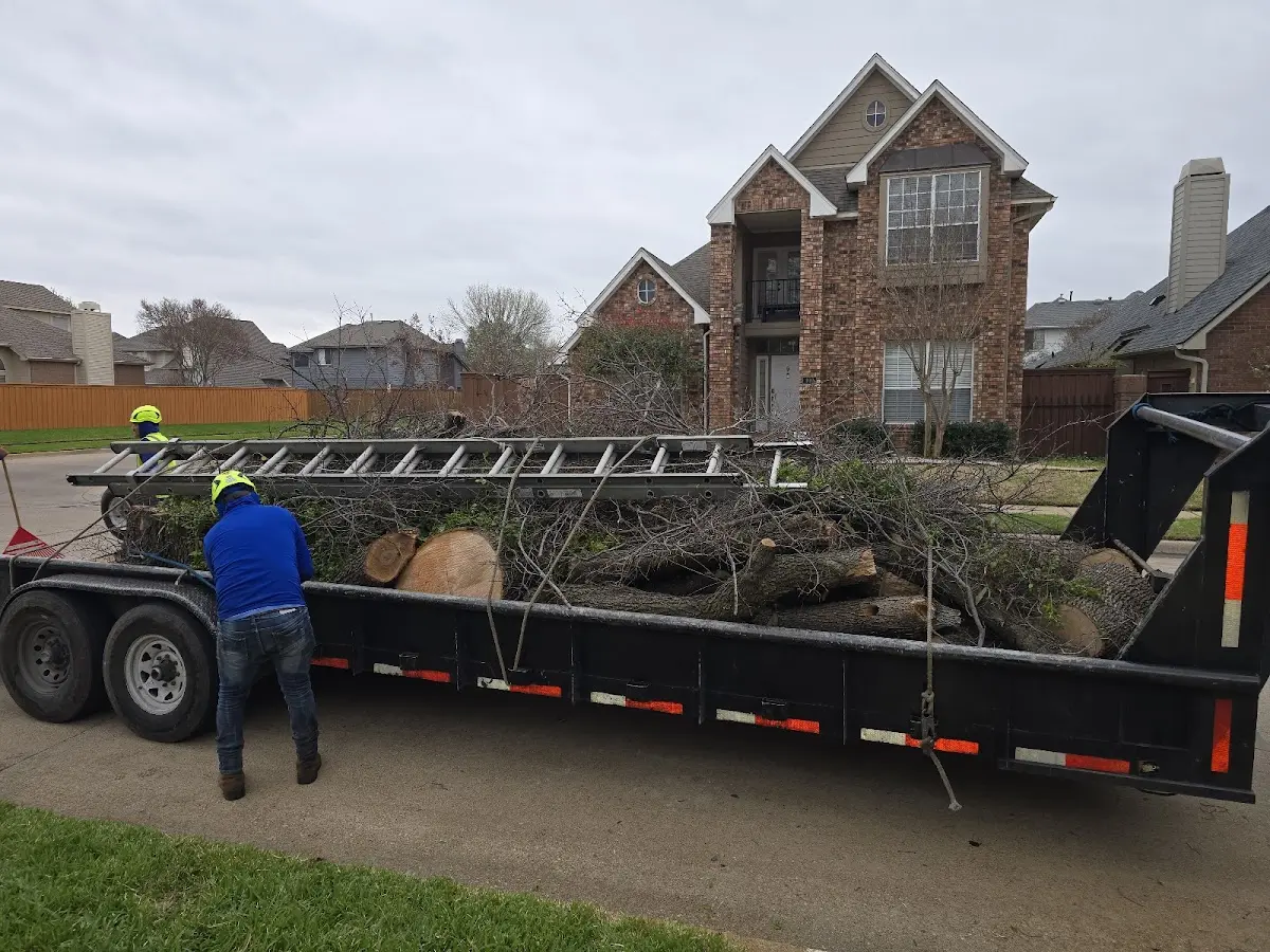 Expert Tree Removal with proper safety equipment in Falls City